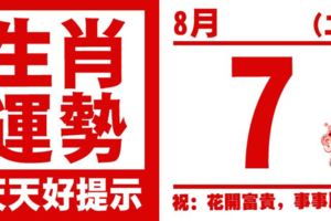 12生肖天天生肖運勢解析（8月7日）