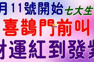 8月11號開始，這七大生肖喜鵲門前叫【財運紅到發紫】