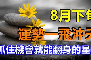 8月下旬運勢一飛沖天，抓住機會就能翻身的星座