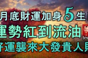 8月底，財運加身的5生肖，運勢紅到流油，好運襲來，大發貴人財！