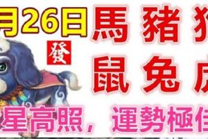 8月26日生肖運勢_馬、豬、狗大吉