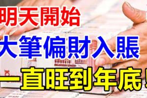 8月29日大筆偏財入賬，一直旺到年底的5個生肖！