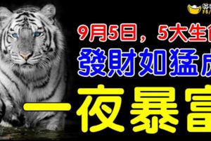 9月5日，發財如猛虎，5大生肖偏財滾滾進家門