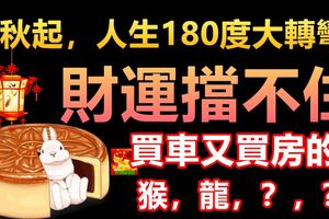 中秋起，人生180度大轉彎！財運擋不住，買車又買房的生肖