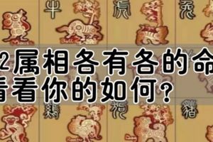 十二屬相各有各的命，看看你的如何？