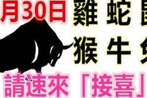 9月30日生肖運勢_雞、蛇、鼠大吉