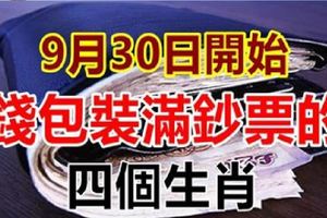 9月30日開始，錢包裝滿鈔票的四個生肖！