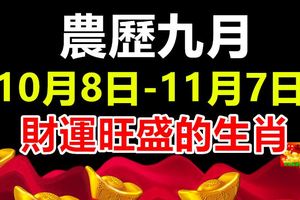 農歷九月（10月8日-11月7日）財運旺盛的生肖