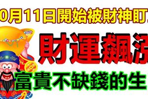 10月11日開始被財神盯上，財運飆漲，貴人送福，富貴不缺錢的生肖