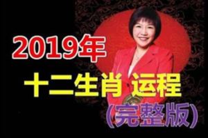 12生肖2019年運程預測（最新完整版）