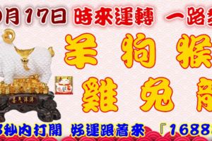 10月17日時來運轉一路發，羊狗猴雞兔龍，88秒內打開，好運跟著來『16888』