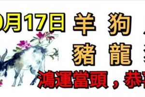 10月17日生肖運勢_羊、狗、虎大吉