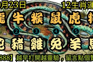 2018年10月23日，星期二農歷九月十五（戊戌年壬戌月戊子日）