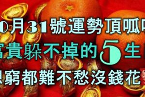 10月31號運勢頂呱呱，富貴躲不掉的5生肖，想窮都難，不愁沒錢花！