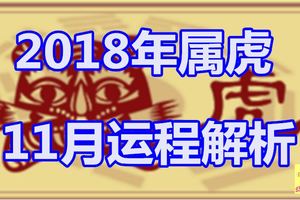 2018年屬虎11月運程解析