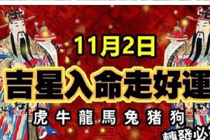 11月2日，吉星入命走好運的生肖