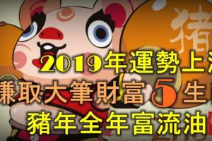 2019年運勢上漲，賺取大筆財富的5生肖，豬年全年富流油！