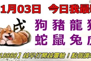 11月03日，今日我最旺！狗豬龍猴蛇鼠兔虎！【18888】越早打開越靈驗！點個讚吧！