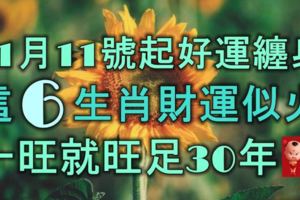 11月11號起好運纏身，這6大生肖財運似火，一旺就旺足30年！