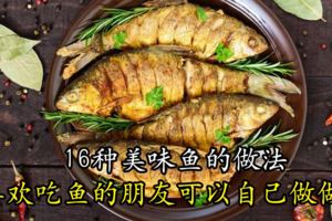 16種美味魚的做法，喜歡吃魚的朋友可以自己做做！