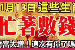 11月13日起，財富突然大增，忙著數鈔票的生肖