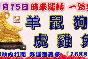 11月15日時來運轉一路發，羊鼠狗虎雞兔，88秒內打開，好運跟著來『16888』