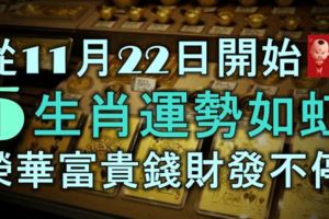 從11月22日開始，5大生肖運勢如虹，榮華富貴，錢財發不停！