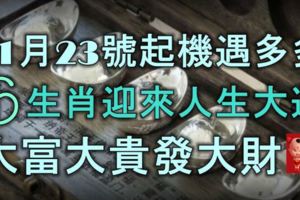 11月23號起機遇多多，6大生肖迎來人生大運，大富大貴發大財！