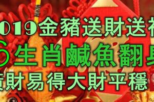 2019金豬送財送福，6大生肖鹹魚翻身，橫財易得，大財平穩！