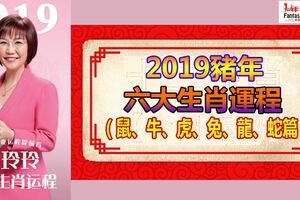 【2019運程】麥玲玲2019豬年生肖運程（鼠、牛、虎、兔、龍、蛇)