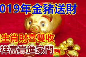 2019年金豬送財，四生肖財喜雙收，吉祥富貴進家門