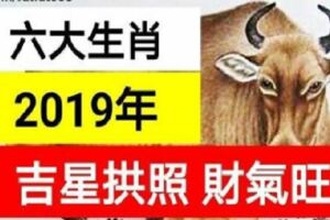 2019年吉星拱照，財氣旺的生肖