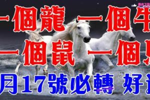 2月17號必轉：一個龍、一個牛、一個鼠、一個馬