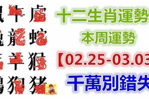 十二生肖運勢：本周運勢【02.25-03.03】千萬別錯失！