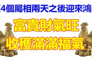 這4個屬相兩天之後迎來鴻運！富貴財氣旺，心裡美滋滋~