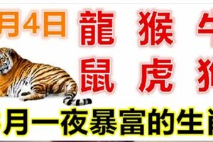 3月4日生肖運勢_龍、猴、牛大吉