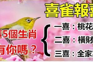 喜雀報喜的5個生肖