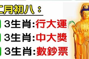 二月初八【九大生肖】：行大運，中大獎，數鈔票！