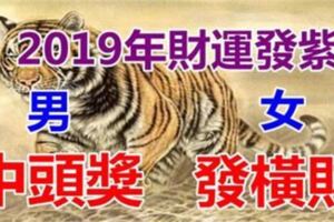 2019年財運旺，男中頭獎，女發橫財的六個生肖