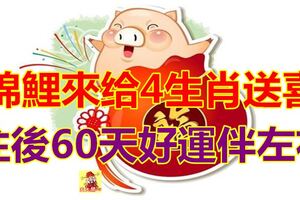 錦鯉來給4生肖送喜，往後60天好運伴左右，橫財滾滾來