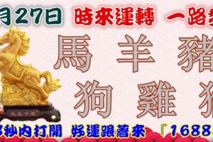 4月27日時來運轉一路發，馬羊豬狗雞猴，88秒內打開，好運跟著來『16888』