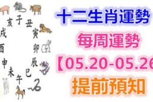 十二生肖運勢：每周運勢【05.20-05.26】提前預知！