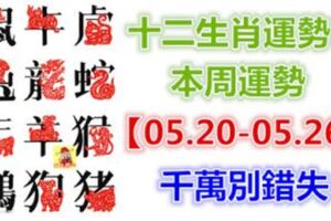 十二生肖運勢：本周運勢【05.20-05.26】千萬別錯失！