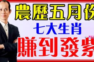 農曆五月份，這七大生肖就四個字「賺到發紫」