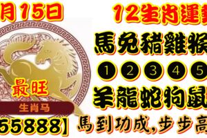 2019年6月15日，星期六，農歷五月十三（己亥年庚午月癸未日）