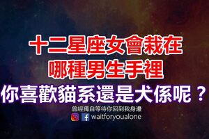 十二星座女會栽在哪種男生手裡，你喜歡貓系還是犬係呢？