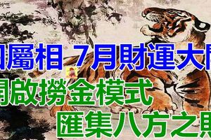 7月財運大開的四屬相，開啟撈金模式，匯集八方之財，順心如意