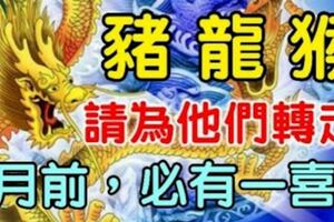 你身邊有屬豬，龍，猴的人嗎？8月前請為他們轉走，必有一喜