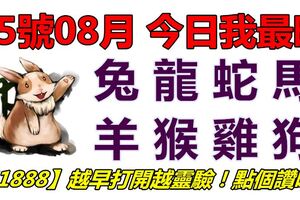 05號08月，今日我最旺！兔龍蛇馬羊猴雞狗！【51888】越早打開越靈驗！點個讚吧！