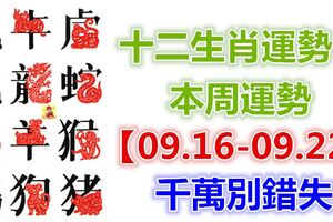 十二生肖運勢：本周運勢【09.16-09.22】千萬別錯失！